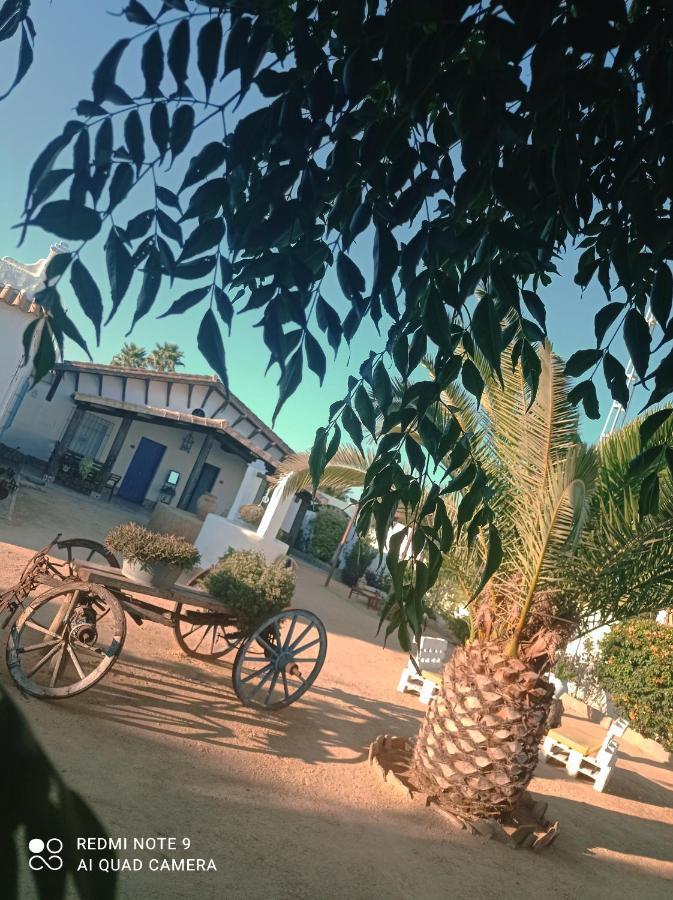 Casa de hóspedes Rural 