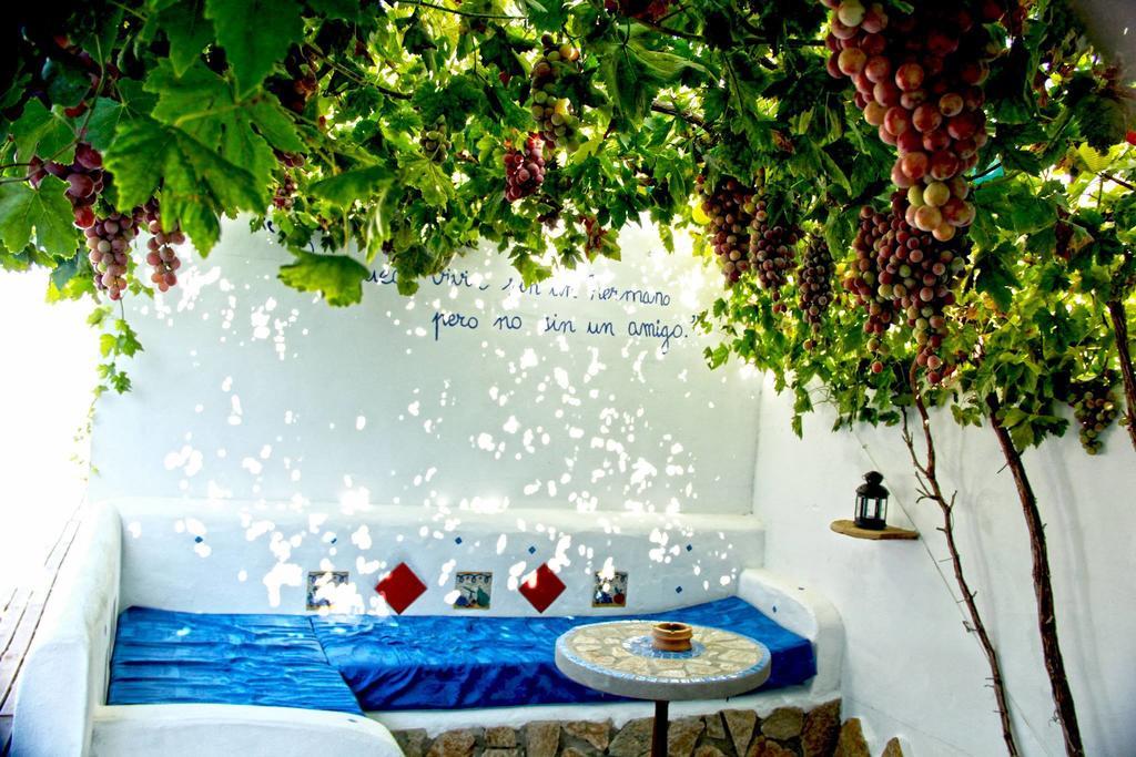 Guest house Rural 